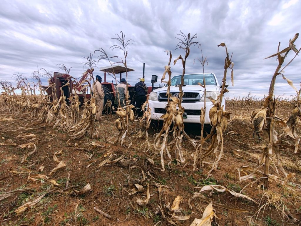 c27f87e9 4581 45c7 899e fb56fc63c1cf