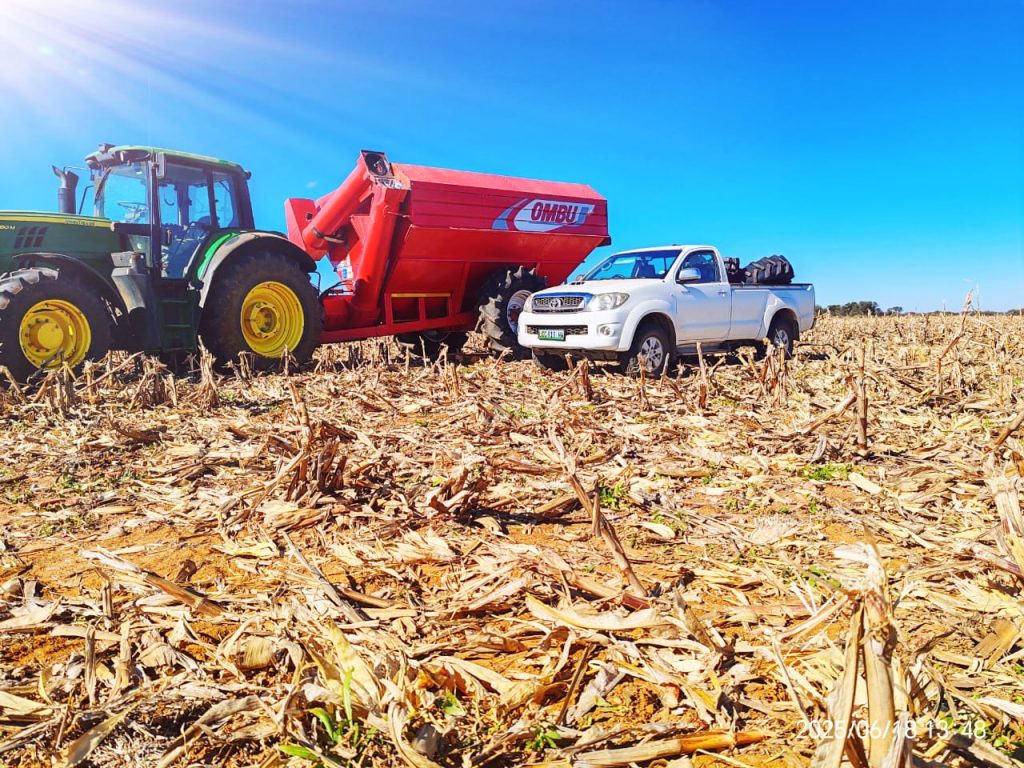 d511d3b6 52ad 4fa4 8889 18a51a24f07c